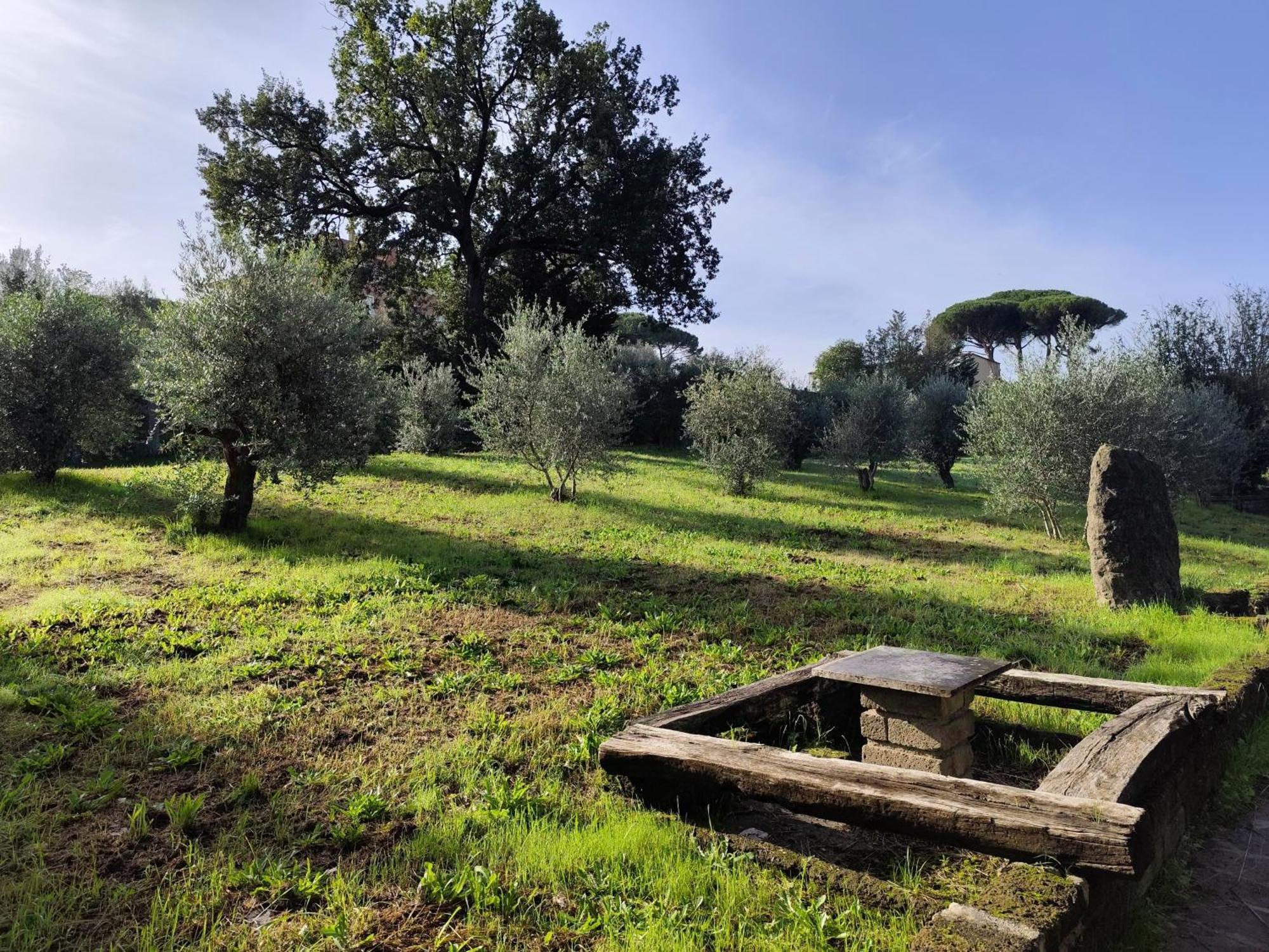 Green Hotel Poggio Regillo Фраскаті Екстер'єр фото